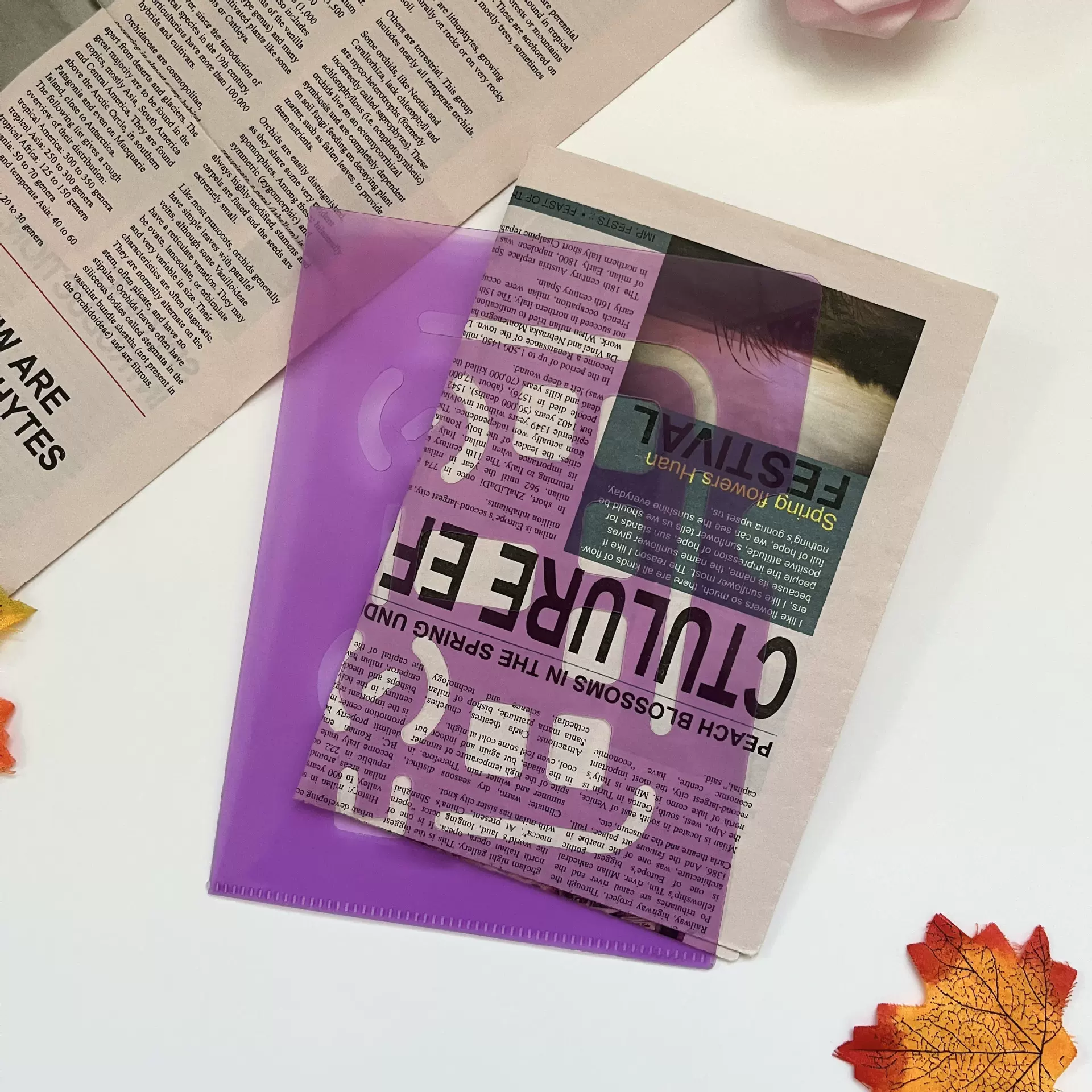 紫色文件夹，资料收纳文件夹，镂空面包车L型文件夹