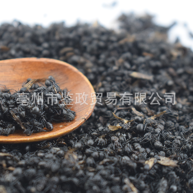 Dried Black Ant Whole Insect 500g Traditional Chinese Herbal Material for Infusion and Decoction Use key features