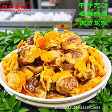 ë�����ؐ�����r������������rë����͘��Ѫ�������ñ���������