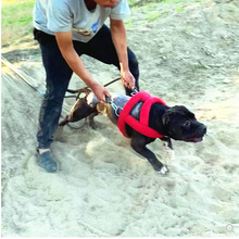 狗拉雪橇车重大狗胸背带中型犬比特犬拖重带负重铁链雪橇狗拉车