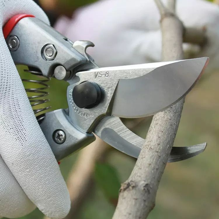 ARS爱丽斯VS-789XZ修枝剪 园林果树修花手剪园艺工具剪刀