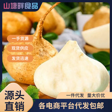 凉薯现挖农家蔬菜土瓜应季水果脆甜地瓜豆薯番薯沙葛萝卜新鲜一件