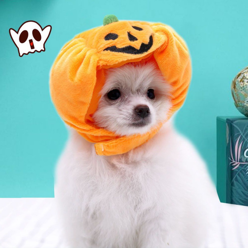 Pets Headgear Large Kitty Dogs Pumpkin Hat Halloween decorate Headdress Supplies Teddy France bucket