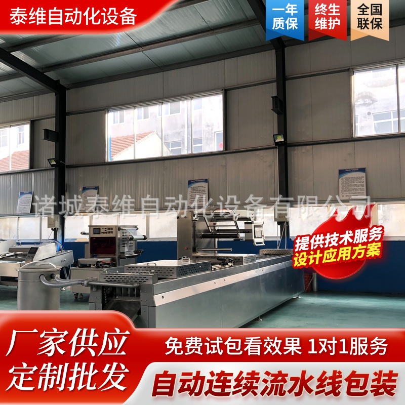 蟹棒鱼丸拉伸膜真空包装机 420型牛筋肠全自动真空包装机器定制