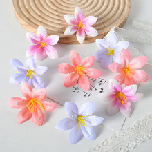 ����¶ˮС��m���^diy�����^��bñ�������ϻ�c�Ĕz���߻�