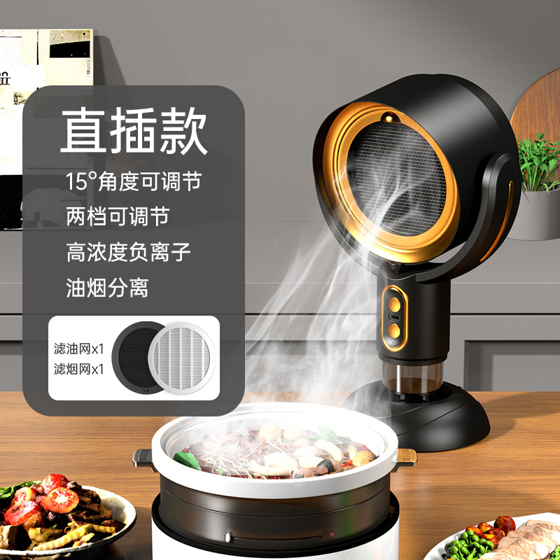 블랙 골드 오일 흄 공기 정화 투인원(플러그인 모델)