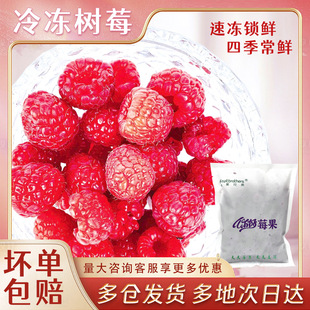 �����ݮ500g�����pʳƷ�決�̲��ԭ���ك��t��ݮ����������