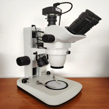 3Ŀ ���ٺ��p�����@΢�R ��܇�����ی��@΢�R