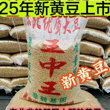 黄豆批发今年新货黑龙江东北小黄豆浆食品豆50斤大袋装商用厂家