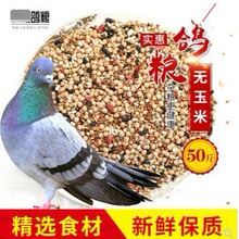 �I�B���������Zِ�w�I�B����Bʳ�����^�p���������Z����ʳ50��10