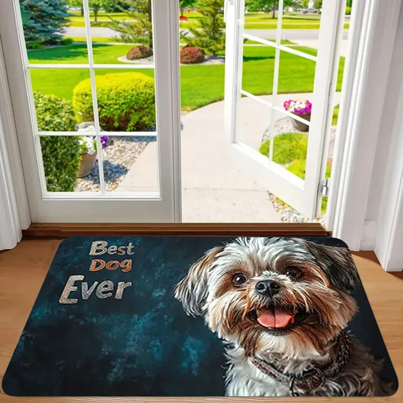 Alfombra de franela estampada, estilo playa, antideslizante, resistente a la suciedad, resistente al desgaste, alfombra para la entrada, dropshipping transfronterizo Y2.