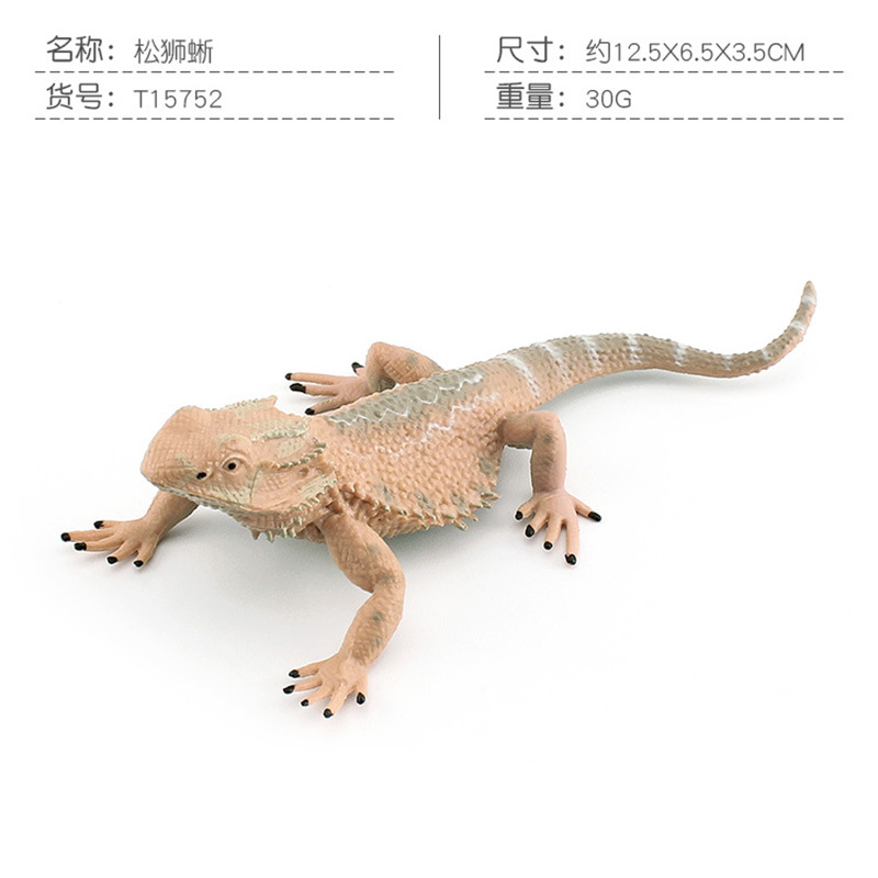 T15752 Dragon Lizard 30g