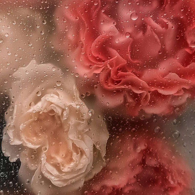 첫사랑의 컬러는 슈퍼핑크↓↓↓