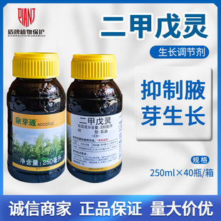 ������ѿͨ 33%�������`���Ɵ���Ҹѿ�l�������B���������L�{����