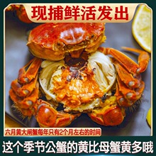 �����S���lз�з�M�S�r���F؛ȫ��ĸ���rˮ�a�Y�к��K6-24ֻ