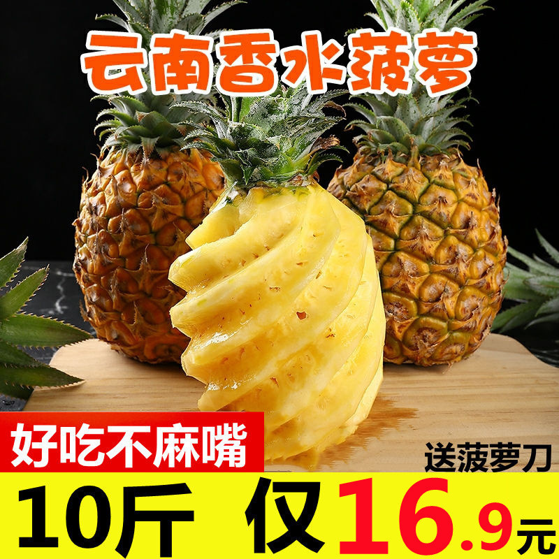 【Promotional Price】Fresh Large Pineapple, Perfume Pineapple, Xiwun Pineapple, Fruit Pineapple, Pineapple Wholesale, Large Fruit