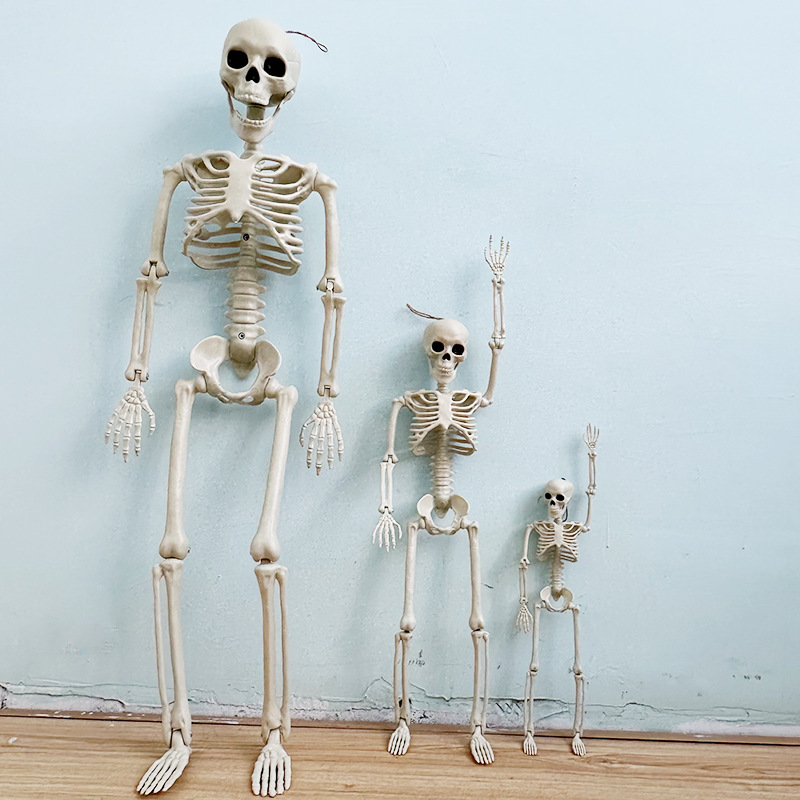 Helovīna simulācijas skeleta apdares kulonu butaforijas plastmasas cilvēka galvaskausa skelets var stāvēt locītavu kustīgs skelets_voghion.com