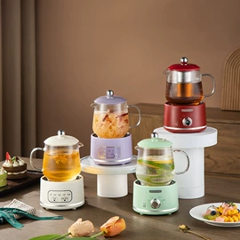 电热杯;养生壶;电热炉