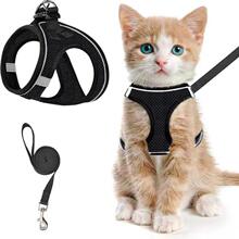 Y 32995 Cats Dropshipping Welcome Bohemian