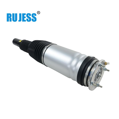 Air Suspension Shock Absorber – Reducer assembly