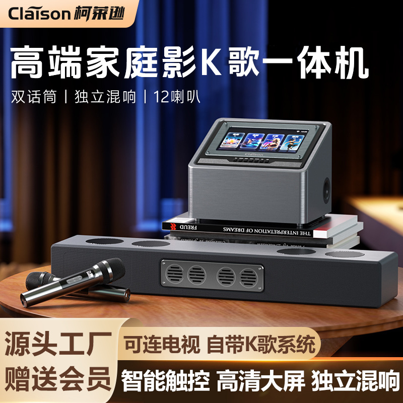 Claison Classy Home Film and Television Karaoke All-In-One Audio Comes with K Systems Dual Microphone Karaoke Machine Speakers