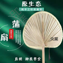 厂家批发大号芭蕉叶扇子葵扇芭蕉扇烧烤扇子蒲扇夏季纳凉直销批发