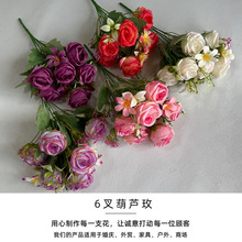 �S�����l6����Jõ�廨���滨�������ð����������[����c�b�