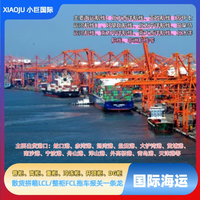 武汉整柜国际海运埃及亚历山大Alexandria开罗Cairo港口拼箱货代