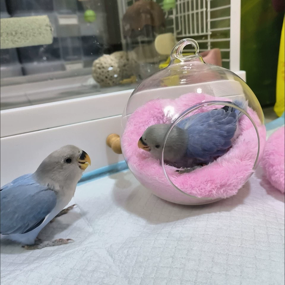 Подушка-гнездо для домашних животных, арктический бархатный коврик для домашних животных, маленькое хлопковое гнездо для домашних животных, подушка для сна, утолщенная теплая подушка