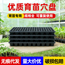 �Ӻ����ѿ���������Ѩ�P����Nֲ���������P���ϠI�B����Ǥ��