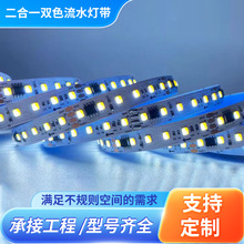 二合一双色外控流水2835LED灯带120灯外置IC可编程跑马流星雨灯带