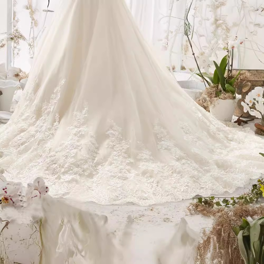 New Wedding Dress Export Trailing Wedding Dress Deep V Large Size Lace Slim Bridal Wedding Dress Slimming Look 2025 Summer