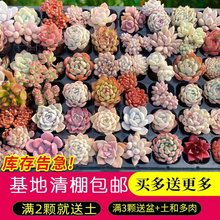 ����ֲ��M������С�Gֲ������¶���w���B�҃����� �����Ϙ�