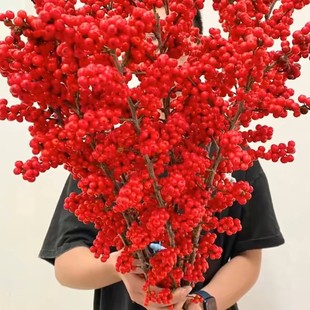 North American Holly Red Fruit Flowers Fresh Cut Branches Wholesale Yunnan Kunming Base Direct Batch New Year's Eve Flowers Fortune Fruit Direct Batch Supply