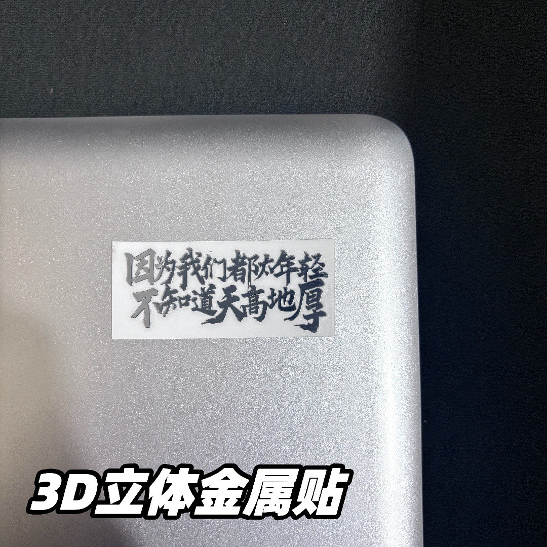 3D metal sticker [We are all too young]