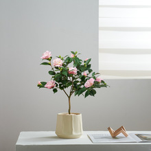 �����軨�͏d�҃�����ɽ�軨�̨ϲ������ͺ����B�Gֲ��������