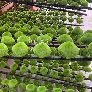 Simulated Moss Stone Micro-Landscape Bonsai Landscaping Decoration Fake Moss Stone Artificial Flocking Stone
