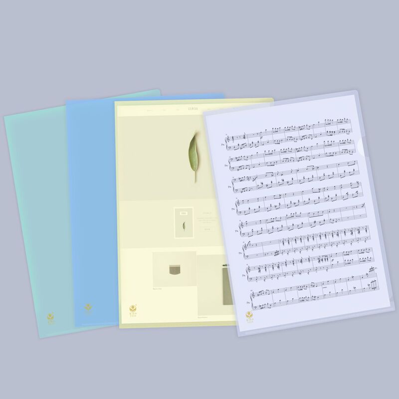 Fudekai E310 Two-Page Document Set A4 Folder Insert Transparent Document Bag Pvc Folder