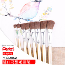 ���l�ձ�Pentel��ͨZBS2�R��ëƽ�^ˮ�ʮ��Pˮ�ۮ��P���Rë���P