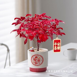 �ͺ��ֺÿ��Ļ������������������L�����҃�����