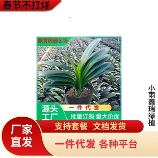 һ�����l�����m���Ԏ����������ļ��_�����B����ֲ���҃ȾGֲ�A�^