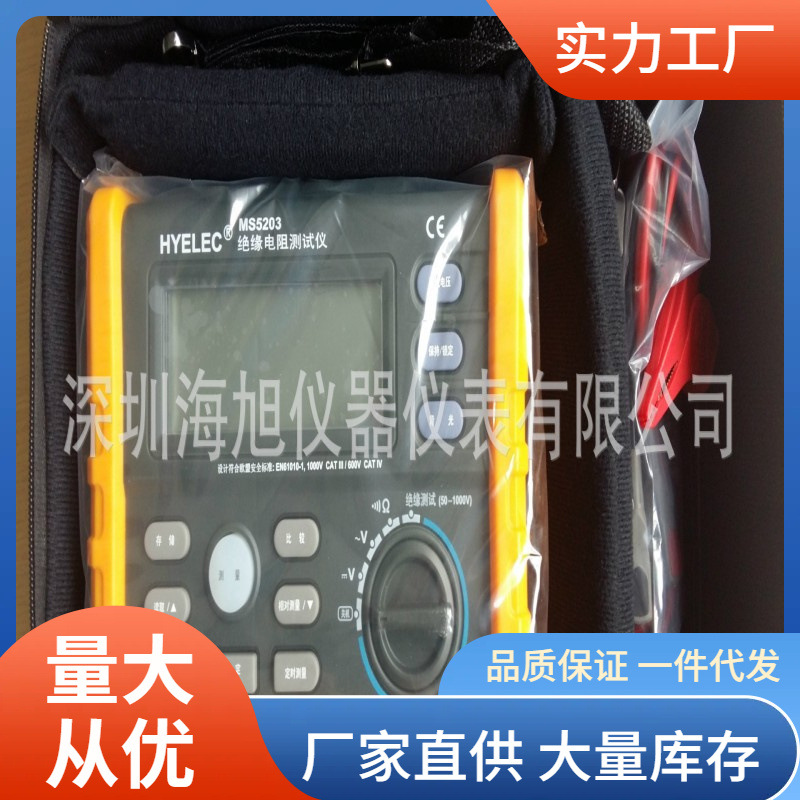 pm5203绝缘电阻测试仪1000V3数字绝缘电阻测量仪华谊pm520