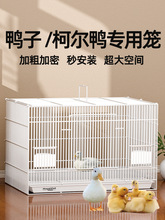 ���ӌ��û\� ����\��Ʒ�����r�������҃����̖���A�e���BС���\