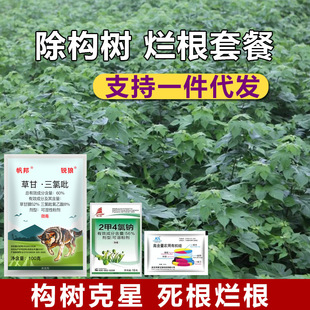 �������������������ș��ҊЧ���ľ�����٠����������������ײ�