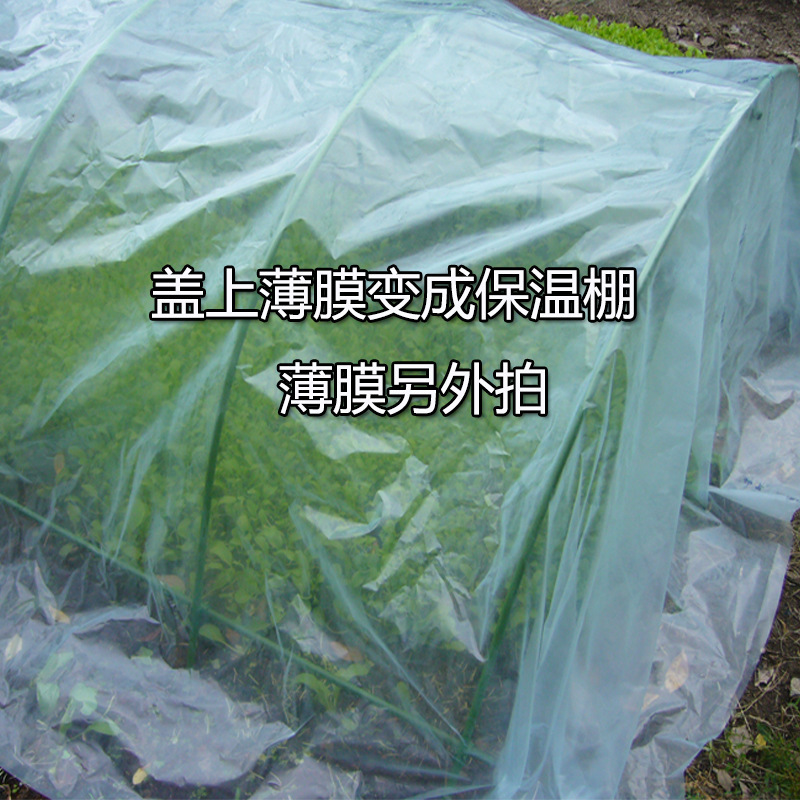 プラスチックと曲がりくねった園芸温室の棚膜鋼管の保温は曲がりくねった防虫網の小屋のブラケットを組み合わせることができます。|undefined