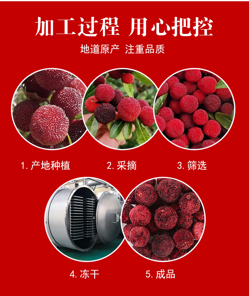 Freeze-Dried Waxberry (Myrica rubra) — Dried Fruit Tea Ingredient, 500g in use