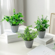 ����Gֲ���ԼҾӾGɫС�[�����¾Gɫ���W�L������ȼ�����������