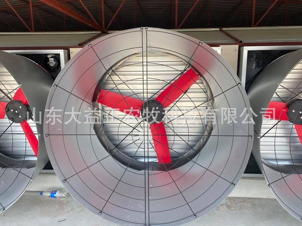 IMG_5395(20220712-155751)