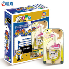 Cross-border body maze scientific exploration children's steam human body structure experiment intelligence doctor toy education