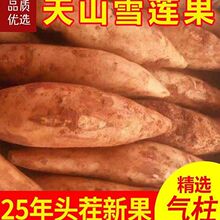 ����خa�S����ɽѩɏ���������rˮ�����]���l���乤�SԴ�^؛Դ